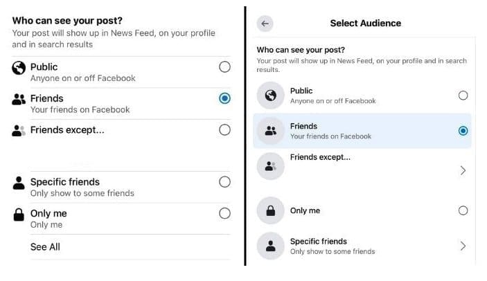 Private vs. Public: Who's actually seeing your posts on Facebook? - The  Social Ginger